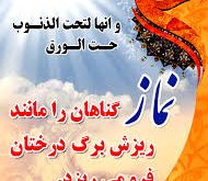 سالروز میلاد مسعود امام علی (ع) مبارک باد