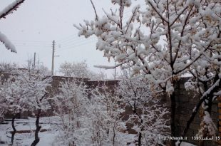 تصویری از بارش برف در ۱۵ اسفند۹۳