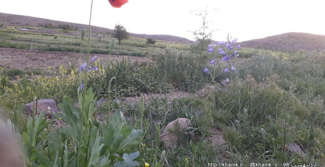 نمایی از طبیعت زیبای بهاری بکری بالا- خانیک اردیبهشت۹۸+فیلم