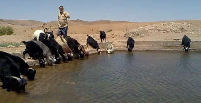 کلاته حسن بیک تابستان ۱۳۹۰