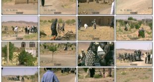 بسیج عمومی برای پاک سازی محیط خانیک