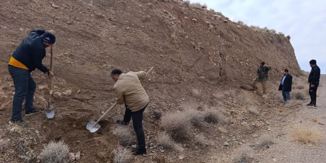 نهال کاری مسیر امامزاده