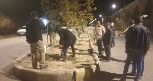 غرس ۶۰اصله نهال زیتون در بلوار اصلی