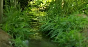 تصاویری زیبا از خانیک ۱۴۰۳